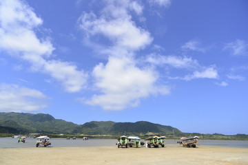 Fototapeta na wymiar 沖縄,水牛車