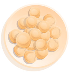 cartoon dish with dumplings, vector illustration