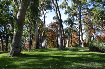 Fototapeta na wymiar VIew in Parque do Retiro, Madrid, Spain