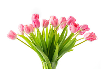 Lovely Pink Spring Tulips in a Clear Vase on a White Background with Copy Space