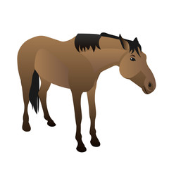 A calm domestic horse of a buckskin color, beige with a black mane and tail. Isometric, full length, isolated on white background. Vector illustration, realistic drawing, flat style.