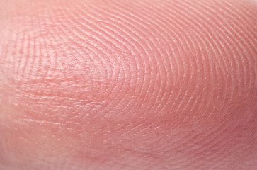 Fototapeta premium Closeup view of human finger. Friction ridge pattern