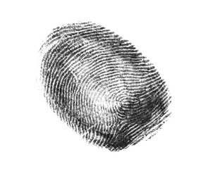 Black fingerprint on white background. Friction ridge pattern