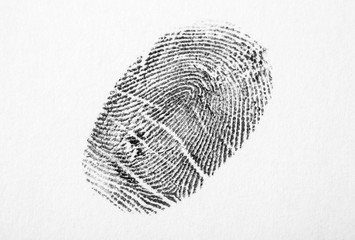 Black fingerprint on white background. Friction ridge pattern