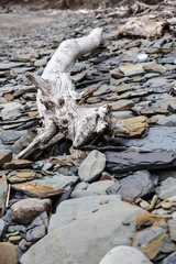 Lake Erie Shore in Springtime
