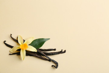 Flat lay composition with vanilla sticks and flower on color background. Space for text
