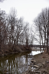 Lake Erie Shore in Springtime