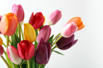 Bouquet of beautiful spring flowers on light background