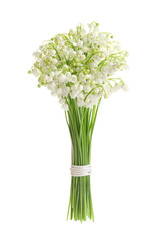 Beautiful lily of the valley bouquet on white background