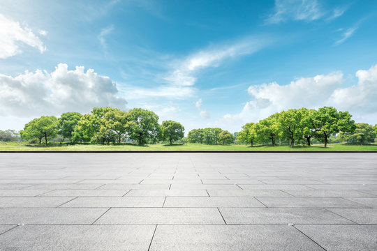 Empty square floor and green forest natural landscape