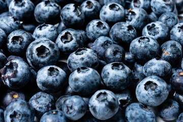 Top view of lots of fresh blueberries.