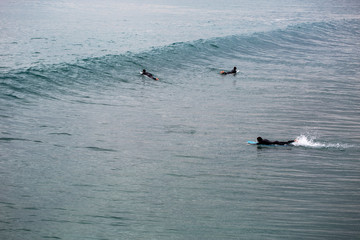Naklejka premium Three Surfers in the Open Ocean