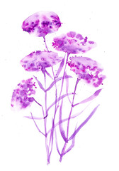 Fototapeta premium Watercolor illustration with beautiful abstract purple flowers. Isolated on white background
