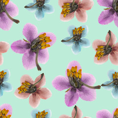 Pyrola. Seamless pattern texture of flowers. Floral background, photo collage