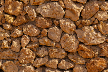 Fossil corals of the Red Sea. Ancient creatures, turned into stone.