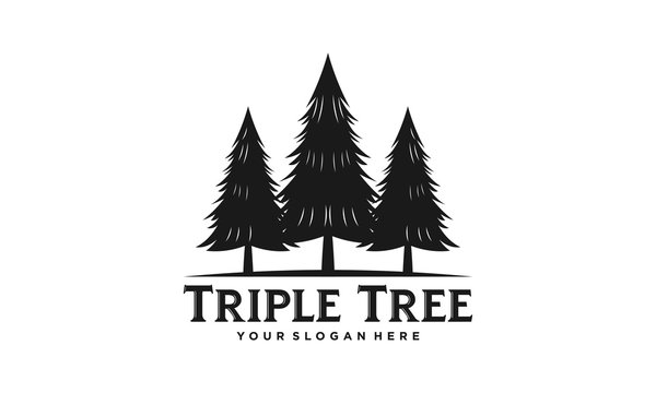 Triple tree logo. Pine forest vector illustration