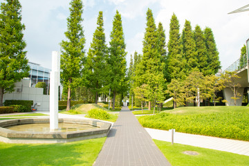 Landscape around  Tokyo big site station