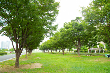 Tokyo bay disaster prevention park
