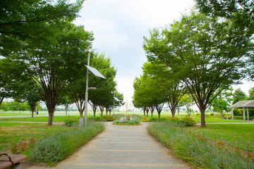 Tokyo bay disaster prevention park