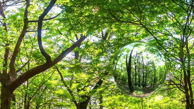 環境イメージ 球体と森林