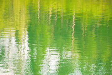 Water surface where nature is reflected.  自然が映る水面