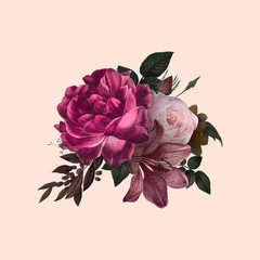 Roses in bloom