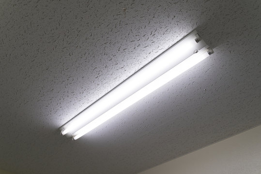 オフィスの天井　蛍光灯　3波長形電球　フリッカーが出る　旧タイプ　