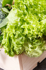 Fresh ripe natural lettuce as source vitamins