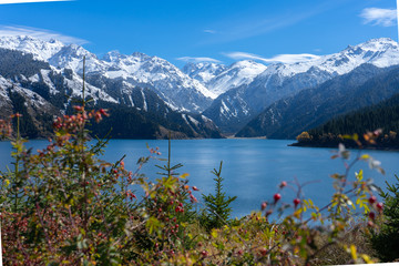 Highland lake landscape with background snowy mountain scene in autumn at Xinjiang, china