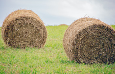 牧草ロール2（Grass roll）