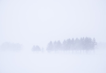 Fototapeta na wymiar 吹雪2（Snowstorm）
