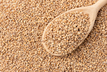 Wheat background with wooden spoon.