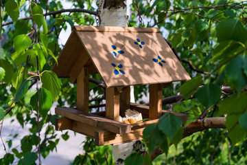 wooden bird house in the tree crown