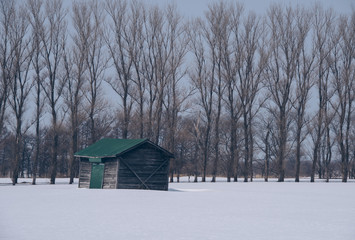 札幌郊外の小屋（A hut in the suburbs of Sapporo）