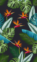 Seamless pattern with bird of paradise: tropical leaves, palms, monstera, calathea, jungle leaf seamless vector pattern. Swimwear botanical design. Vector. - Vector