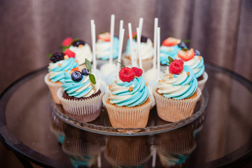 Delicious cupcakes with berries.Colorful cupcakes with buttercream and fresh raspberries, blueberries.special holiday celebration event.Kids party.festive table