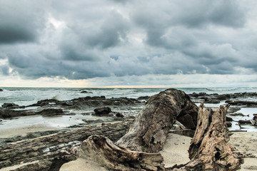 Pollution sur une plage du Costa Rica après de grosse pluies, les déchets qui étaient dans les rivières se retrouvent sur cette plage du pacifique. Santa Teresa, Costa Rica