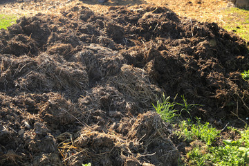 Heap of organic fertilizer for planting 