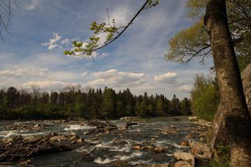 Wilde Isar, Stromschnellen bei Ismaning