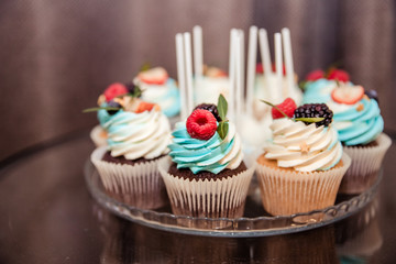 Delicious cupcakes with berries.Food banner. Vanilla cupcakes with blueberry cream and berries. Close-up. Selective focus.Luxurious catering concept.cupcakes with cheese cream