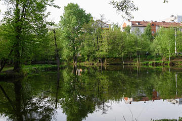 Fototapeta na wymiar Small lake in the city surrounded by trees. Spring. Reflection of trees in the water.
