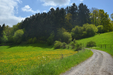 Landschaft in der Eifel