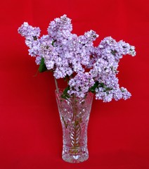 bouquet of lilac flowers in a crystal vase