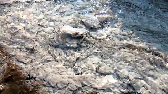 Bacteria Chloroflexus aurantiacus in hot springs, Chae Son National Park , Lampang Thailand