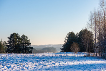 fields and forests covered in snow in winter frost