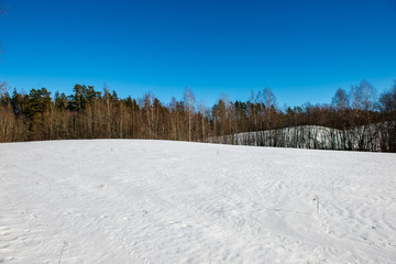 fields and forests covered in snow in winter frost