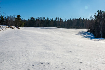 Fototapeta na wymiar fields and forests covered in snow in winter frost
