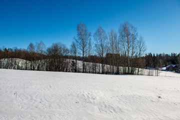 fields and forests covered in snow in winter frost