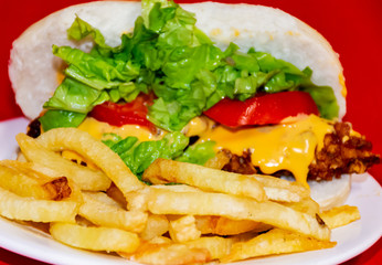 Sandwiches fried chicken, tomatoes, lettuce leaves and French fries with red background.