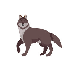 Cartoon wolf vector